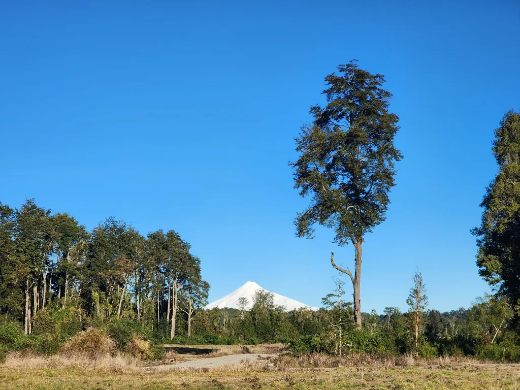 WhatsApp Image 2026-04-08 at 10.01.35 PM.webp