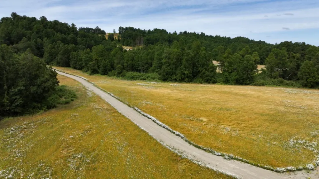 WhatsApp Image 2026-03-27 at 3.33.12 PM (2).webp