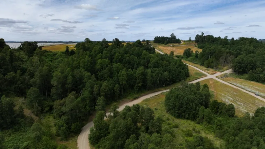 WhatsApp Image 2026-03-27 at 3.33.12 PM (3).webp