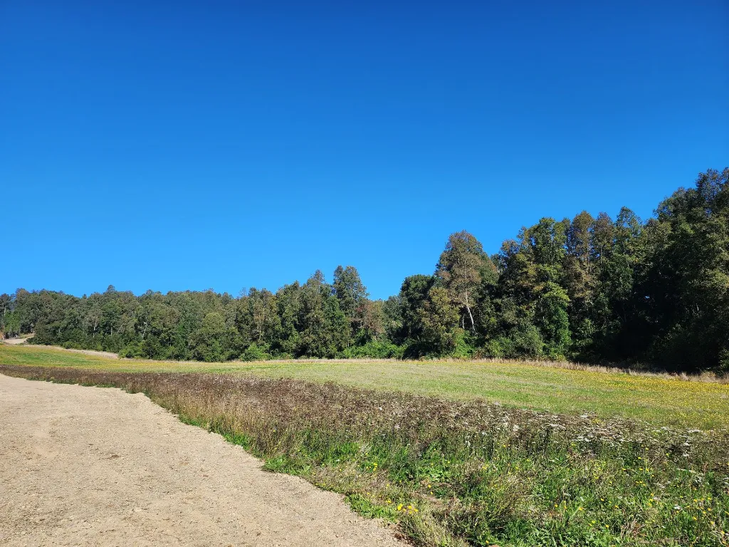 WhatsApp Image 2026-04-13 at 5.44.53 PM.webp