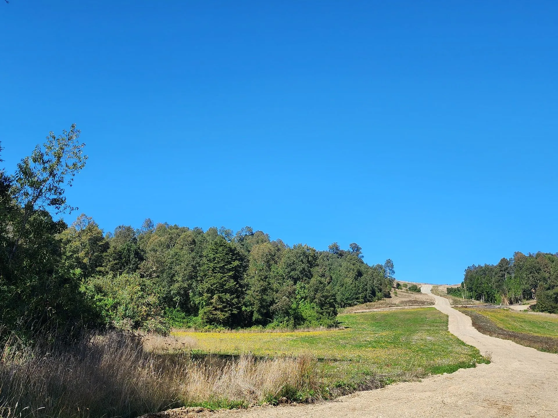 WhatsApp Image 2026-04-13 at 5.44.54 PM (1).webp