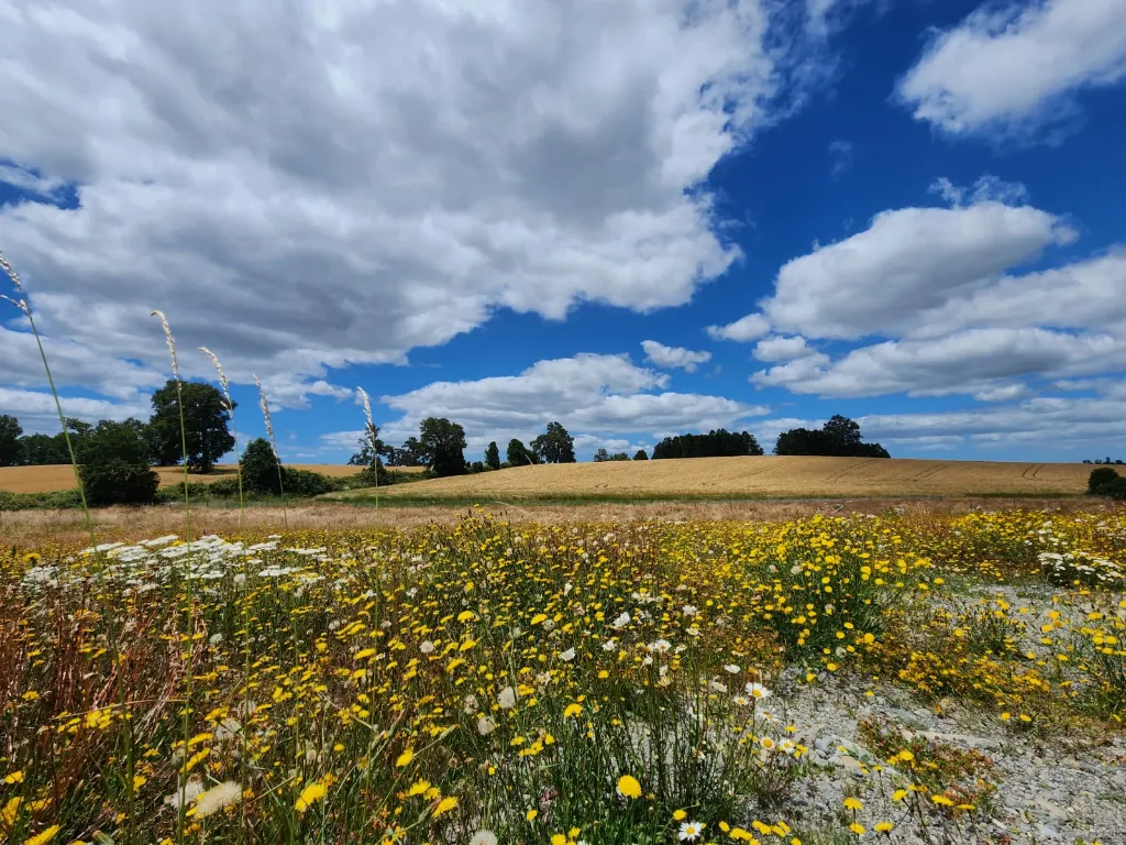 WhatsApp Image 2026-03-27 at 3.36.23 PM.webp