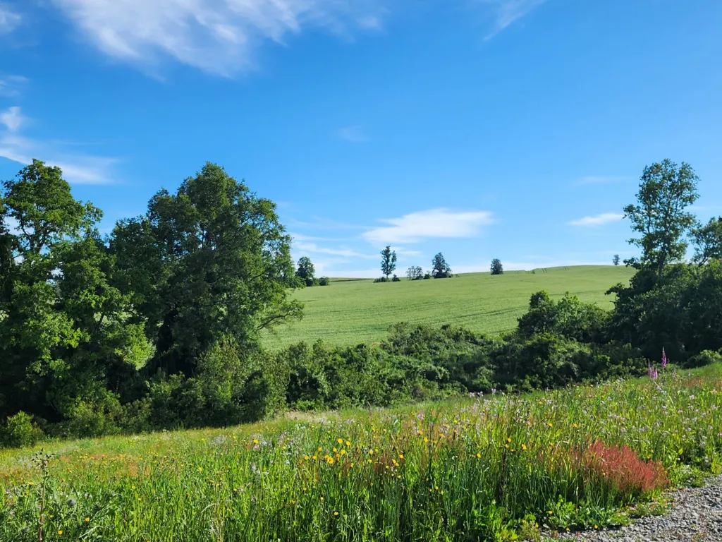 WhatsApp Image 2026-03-27 at 3.36.24 PM (1).webp