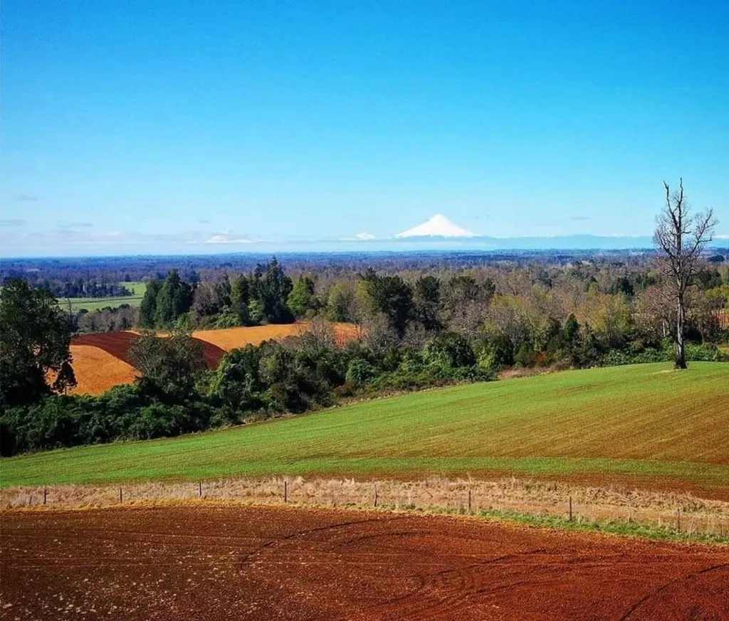 WhatsApp Image 2026-03-27 at 3.36.24 PM (3).webp