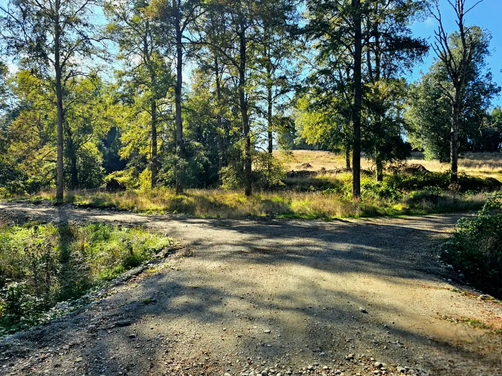 WhatsApp Image 2026-04-08 at 10.12.29 PM (2) (1).webp