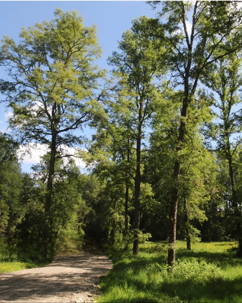 WhatsApp Image 2026-04-08 at 10.12.29 PM (1) (1).webp