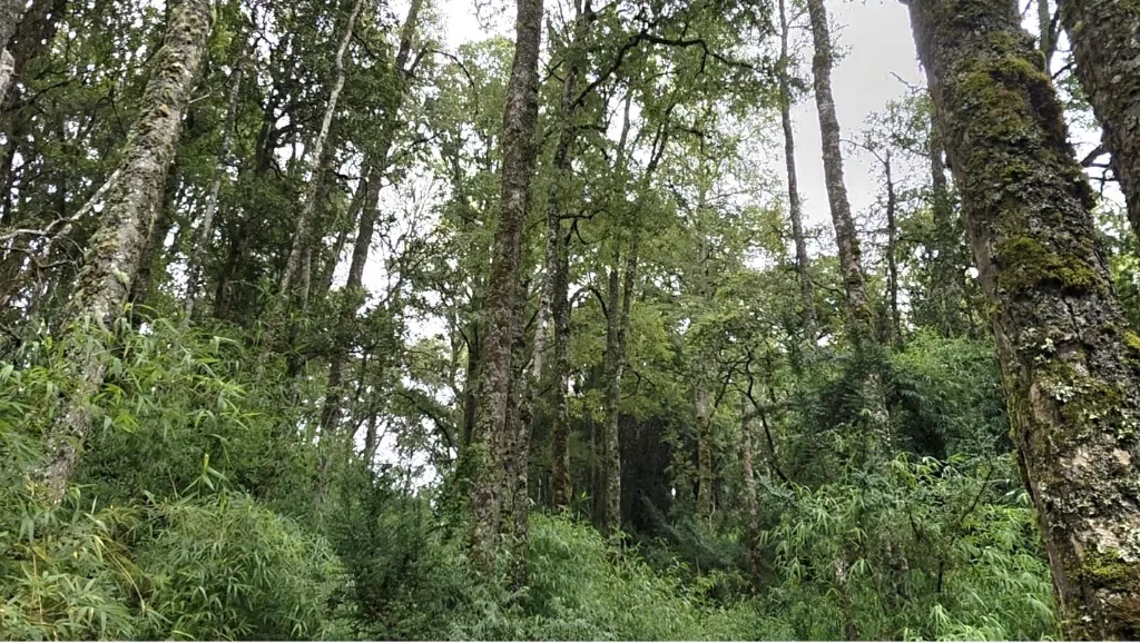 WhatsApp Image 2026-04-08 at 10.16.48 PM.webp