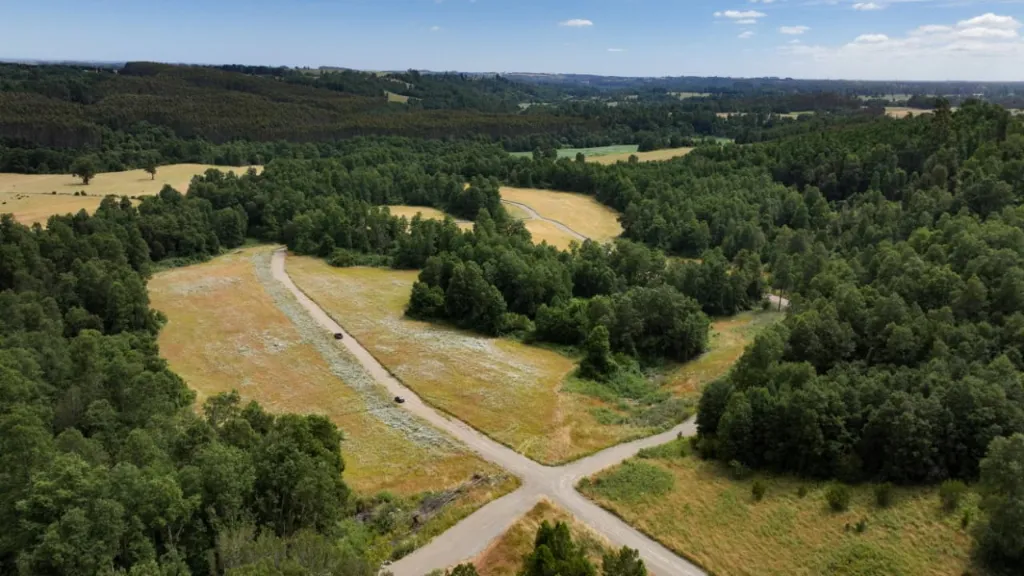 WhatsApp Image 2026-03-27 at 3.33.11 PM (2).webp