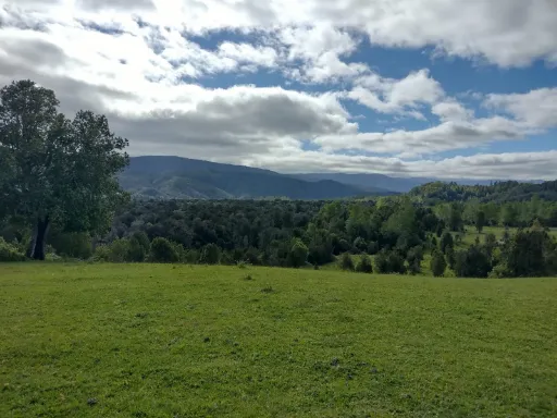 Lomas de Sarao
