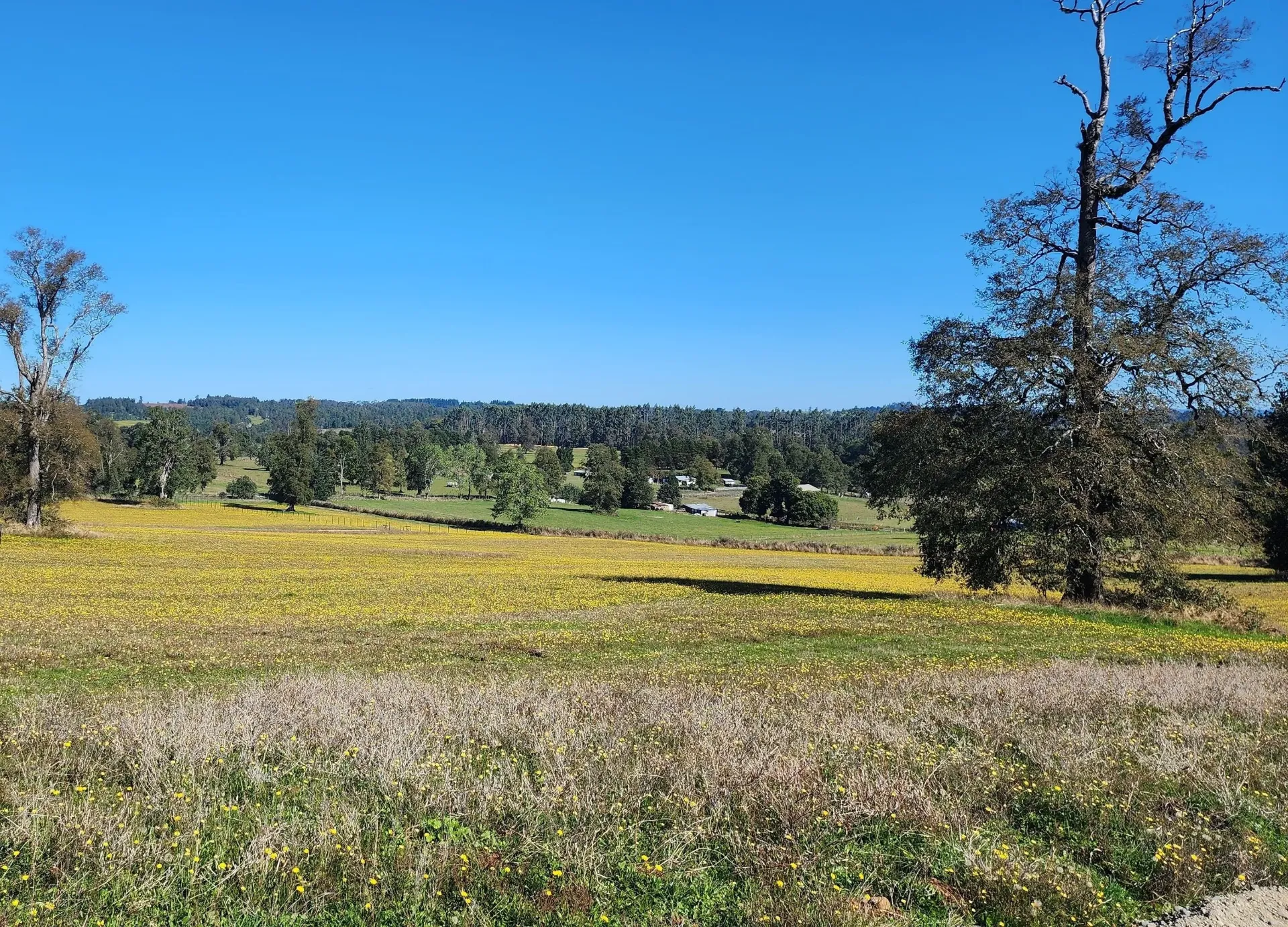 Altavista Frutillar